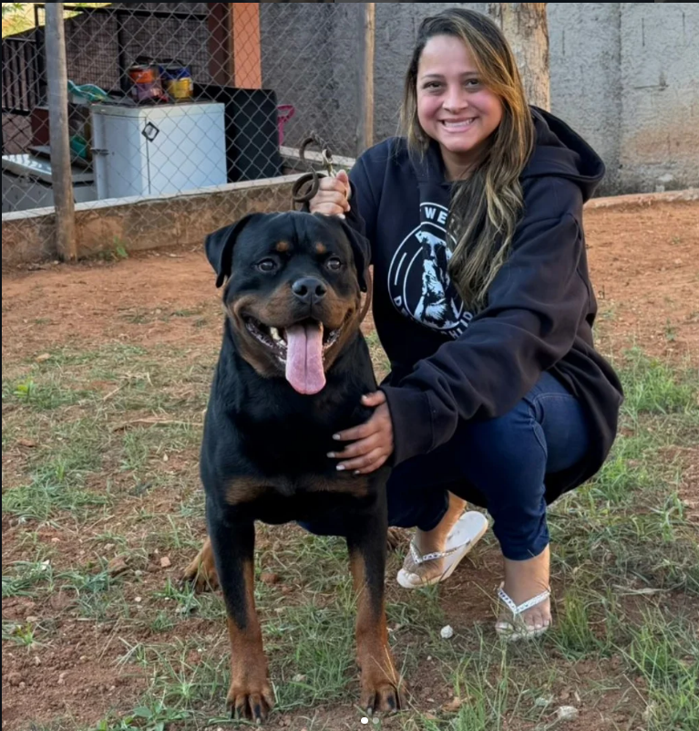 Rottweiler adulto do Canil Matilha de Minas com sua tutora